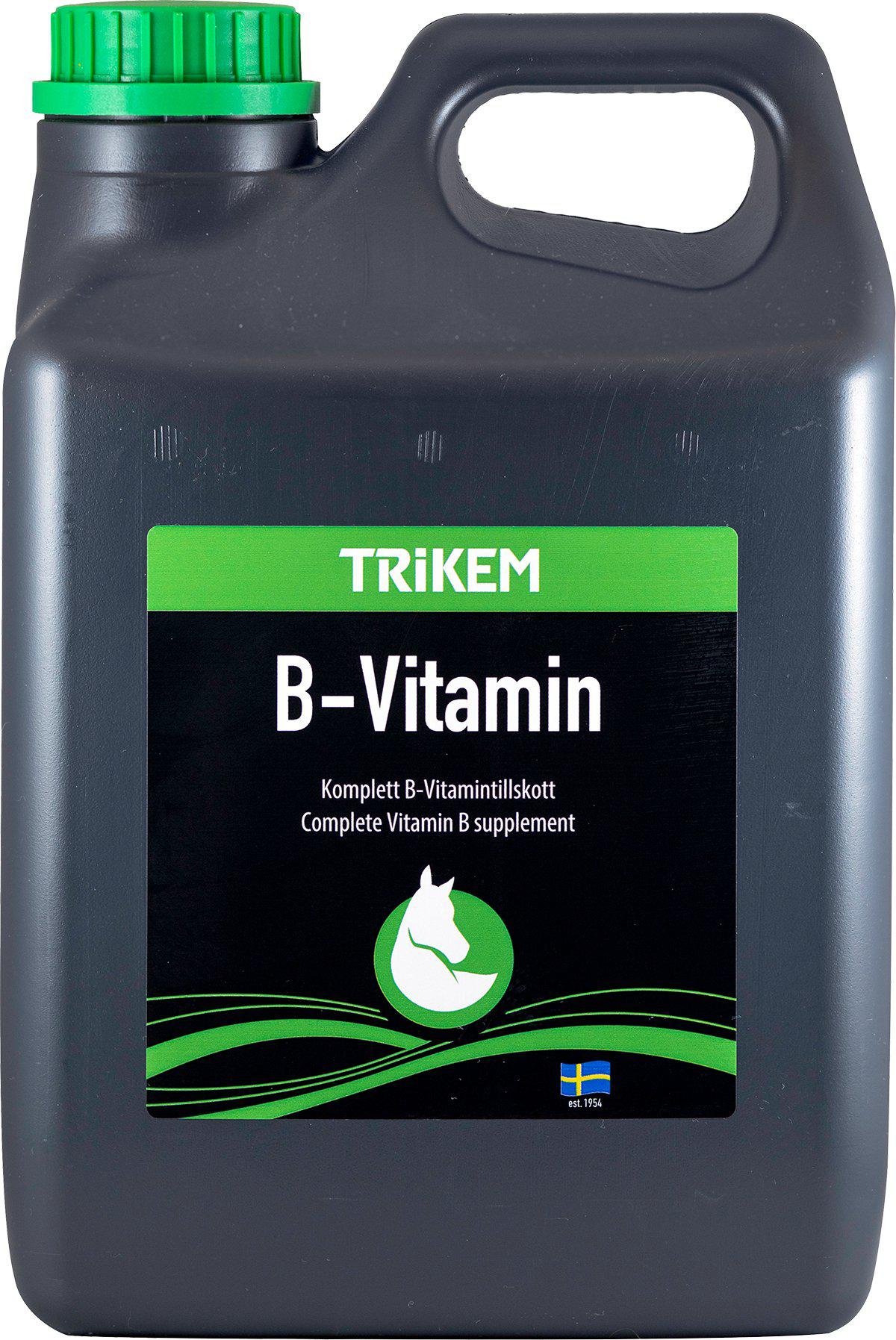Vimital B-Vitamin 5l